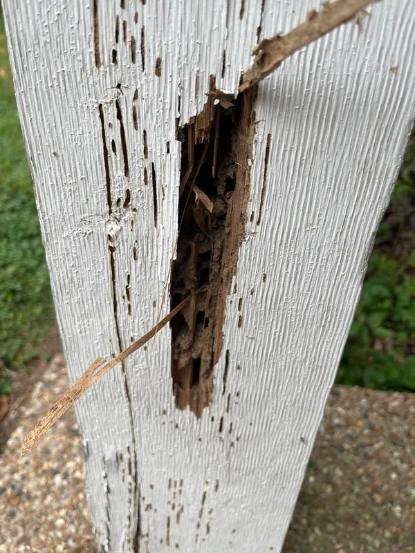 Wood post with hollowed-out termite damage found during a wood destroying insect inspection